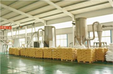 Ⅱ型聚磷酸铵APP101